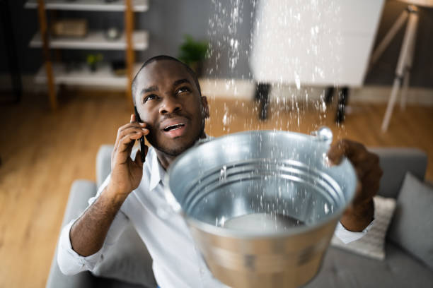 Best Water damage cleanup near me  in South Russell, OH