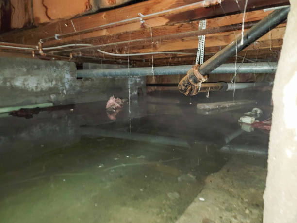Best 24/7 water damage repair  in South Russell, OH