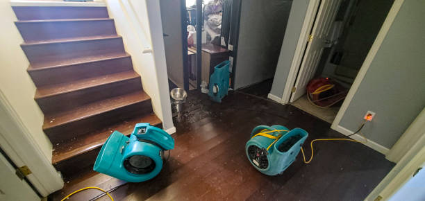 Best Sewage cleanup and water damage restoration  in South Russell, OH