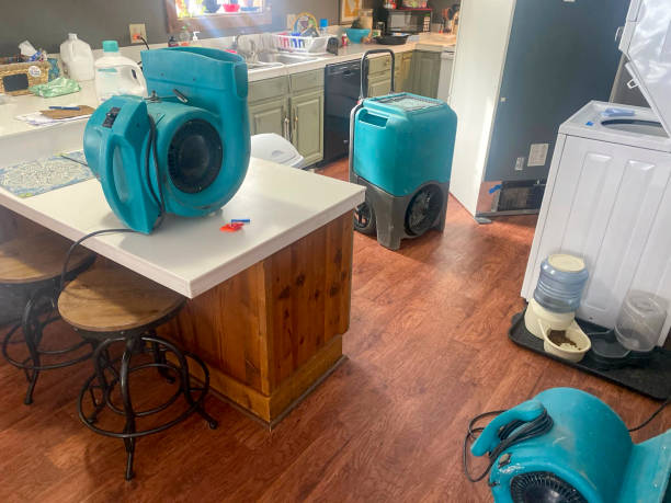 Best Commercial water damage restoration  in South Russell, OH