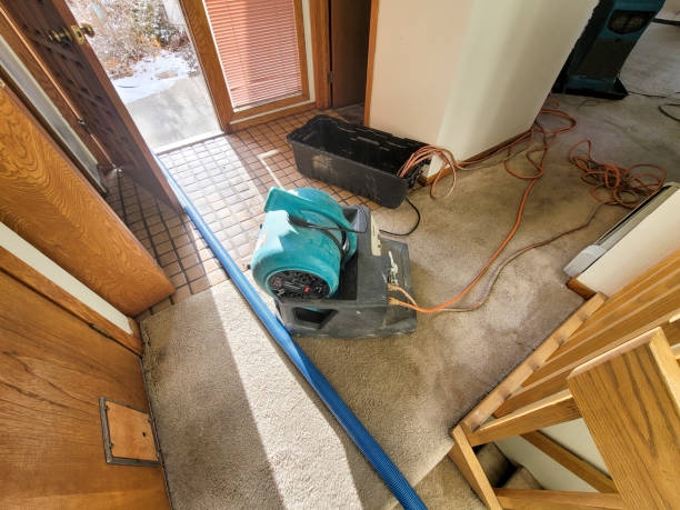 Best Water damage repair service  in South Russell, OH