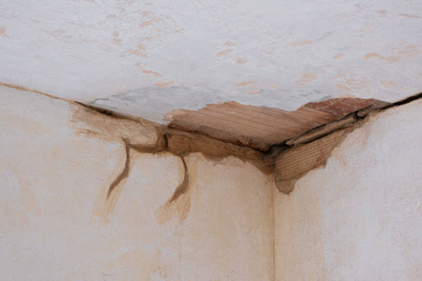 Best Fire Damage Restoration  in South Russell, OH