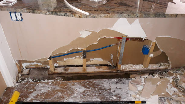 Best Water damage mitigation services  in South Russell, OH