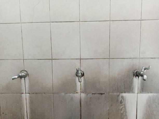 Best Flood damage cleanup  in South Russell, OH