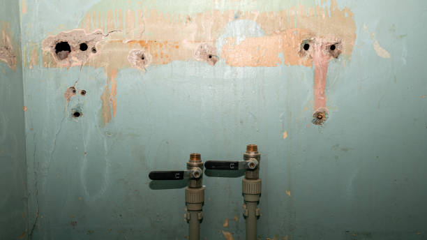 Best Flood damage cleanup  in South Russell, OH