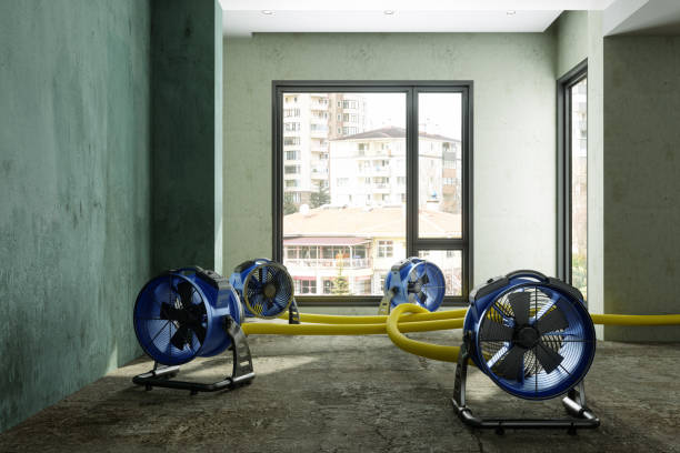 Best Local water damage restoration  in South Russell, OH